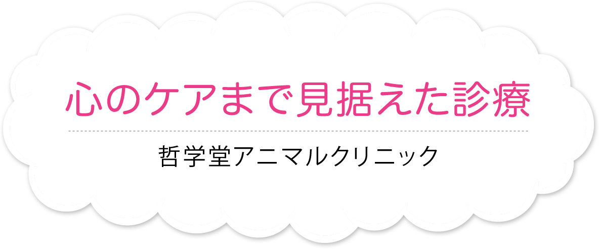 心のケアまで見据えた診療 哲学堂アニマルクリニック